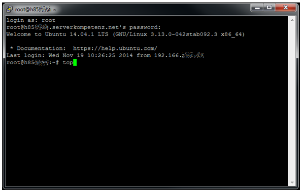 Serverbelasting met Ubuntu-1.png